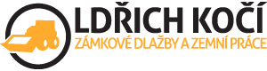 Primary Raster logo